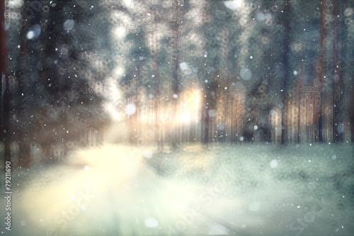 blurred background forest snow winter © kichigin19