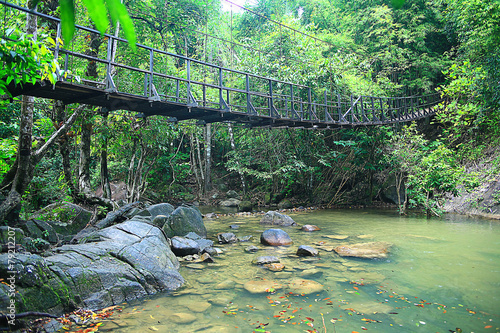 Asia Thailand jungle landscape