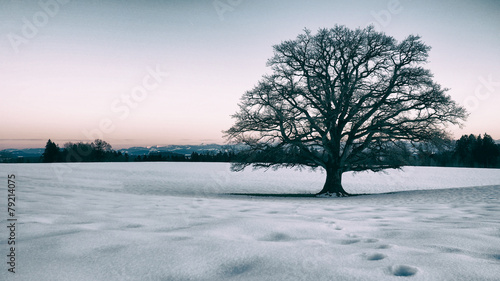 Canvastavla Wintereindrücke