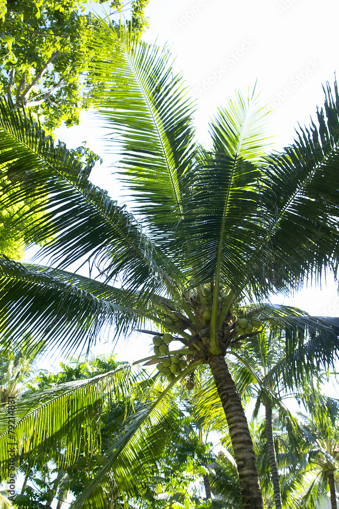 Fototapeta premium 포토시리즈