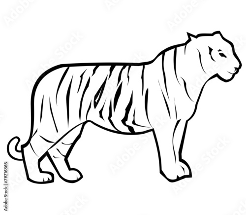 Tiger Outline