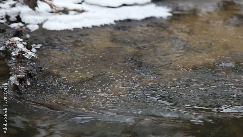 Clean transparent water in fast spring stream Clean transparent water in fast spring stream