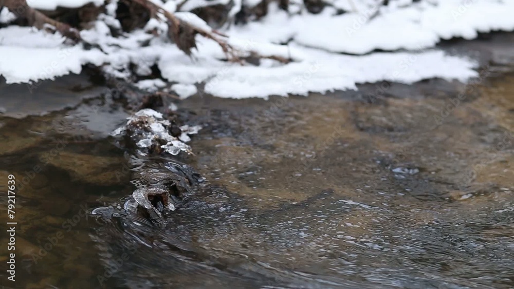 Clean transparent water in fast spring creek Clean transparent water in fast spring creek