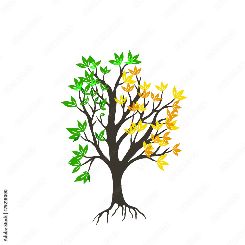 Fototapeta premium tree