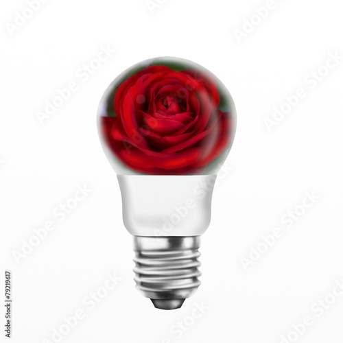 light bulb with red rose