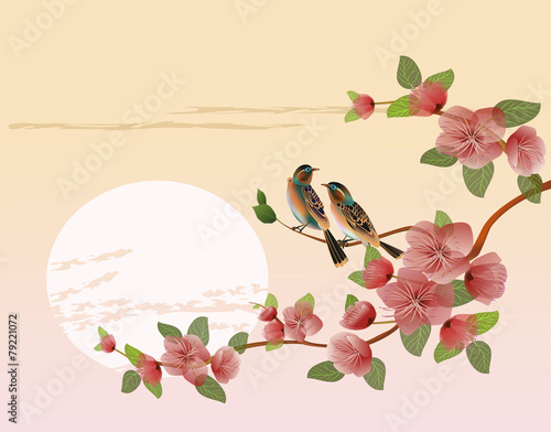sakura .Evening in the garden blooming cherry and birds