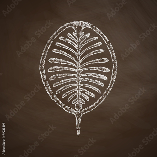 palm Jebel Ali icon