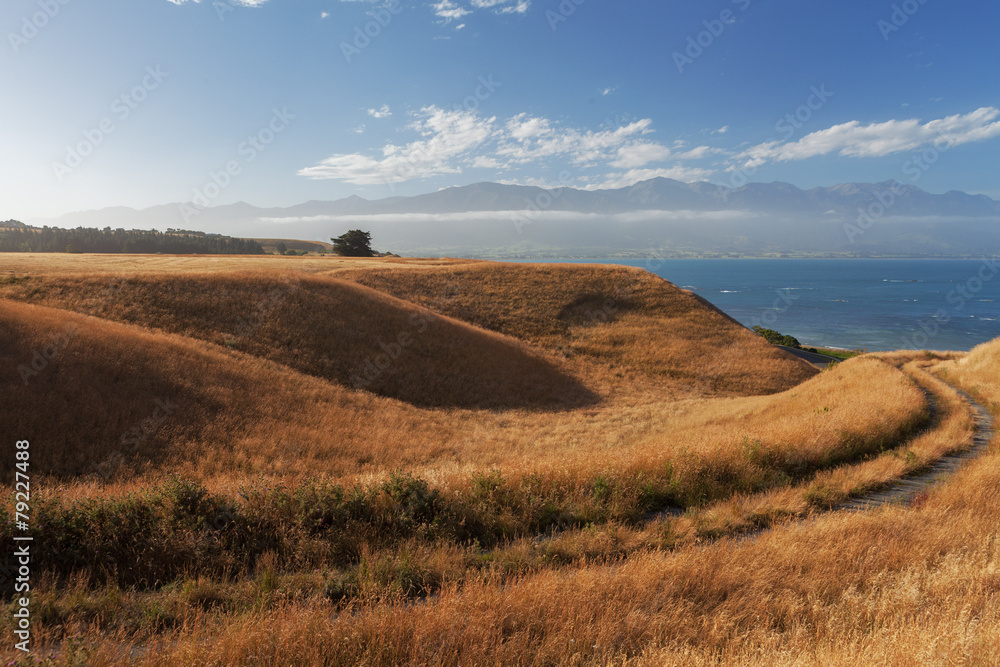 Obraz premium Views from Kaikoura Peninsula Walkway, New Zealand