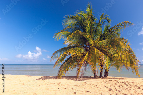 Beach on tropical island. Clear blue water  sand  palms.