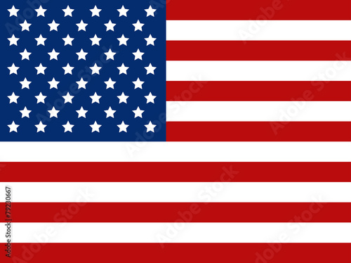 American flag. Vector art.