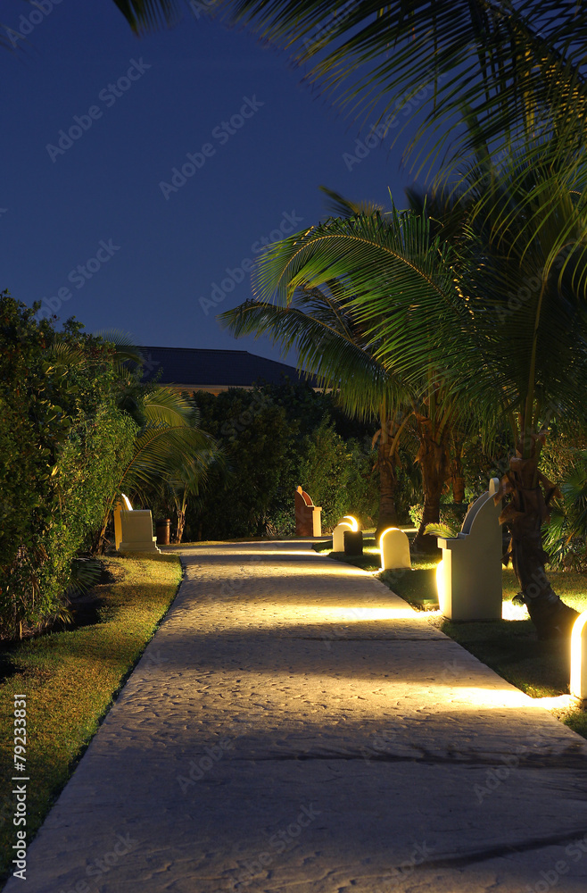 The stone road under the palm trees in the night The stone road under the palm trees in the night