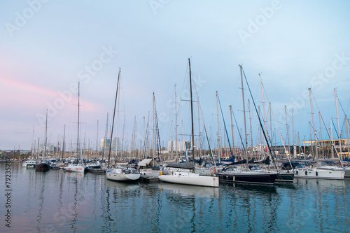 Marina with yachts and boats © Denis Ovcharenko