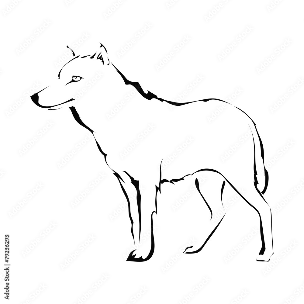 Fototapeta premium Wolf silhouette isolated on white background. Logo. Vector illus