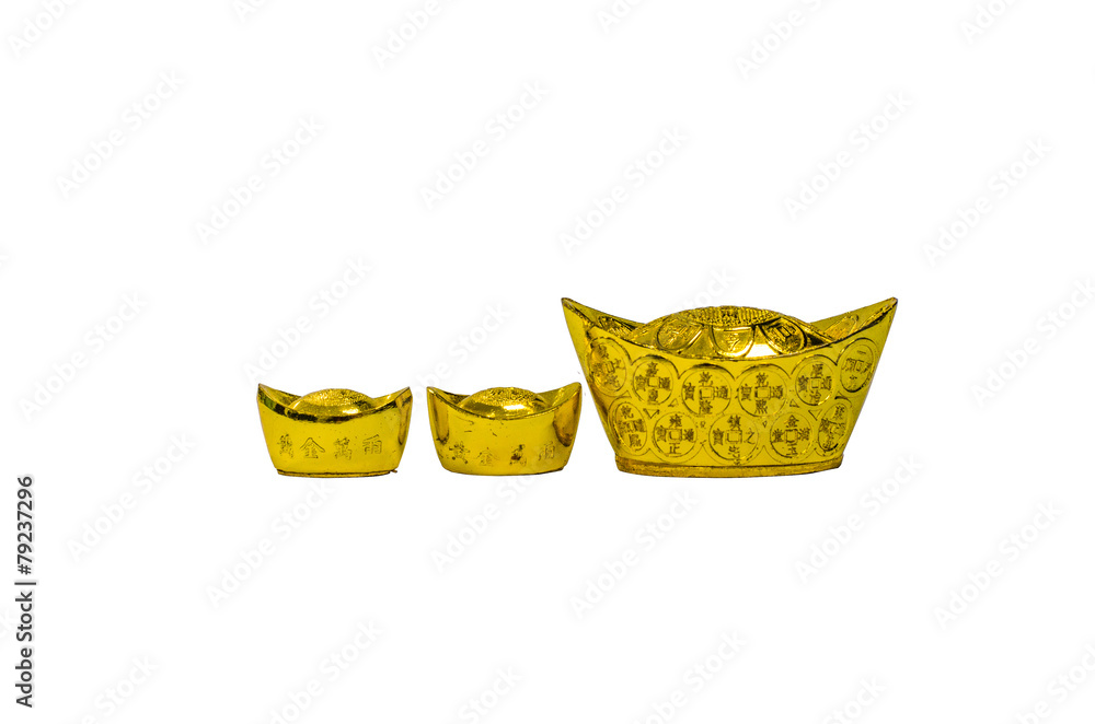 Fototapeta premium The golden money for fortune