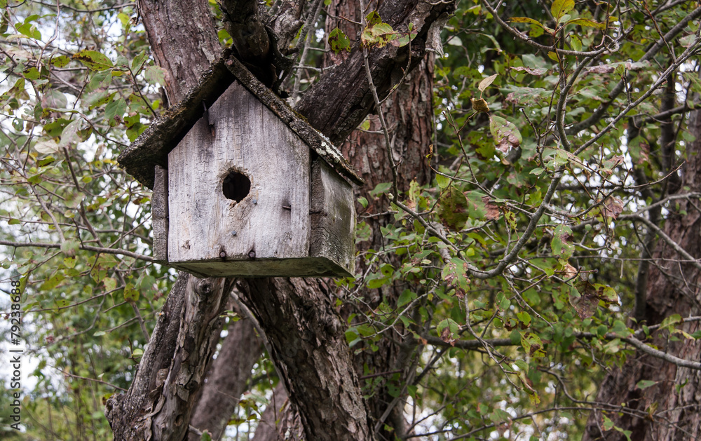 wooden birdhouse wooden birdhouse