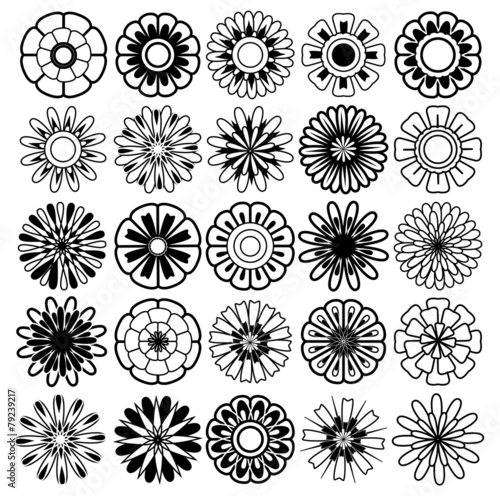 Fototapeta Naklejka Na Ścianę i Meble -  flower vector set