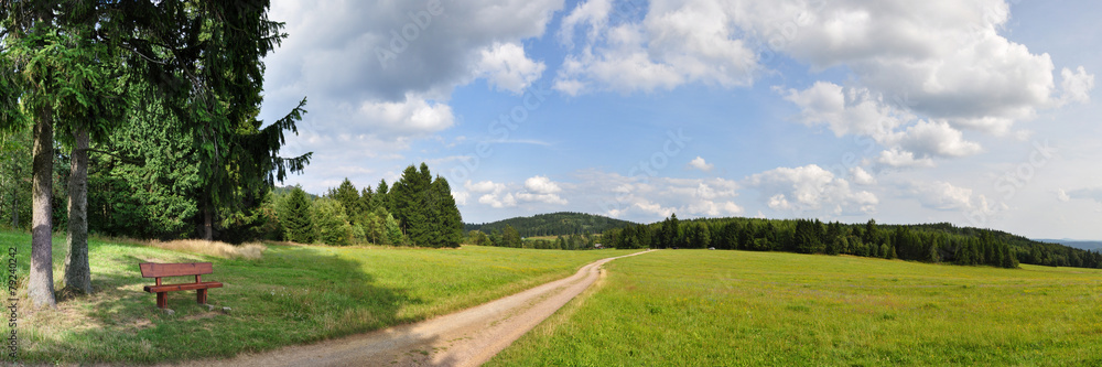 Wanderweg am Knüllfeld / Thüringer Wald