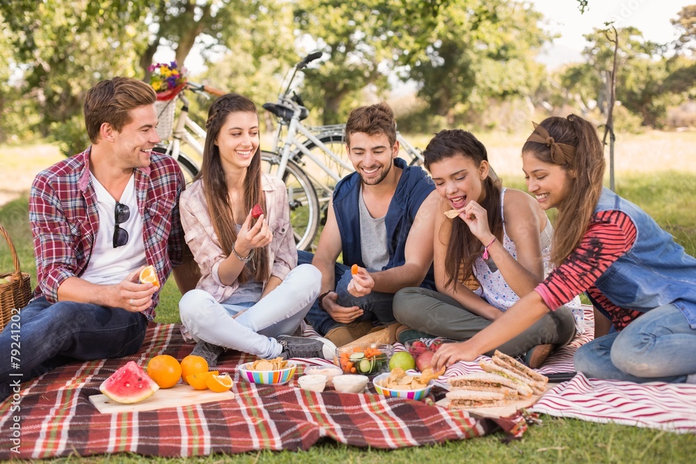 Happy friends in the park having picnic Happy friends in the park having picnic