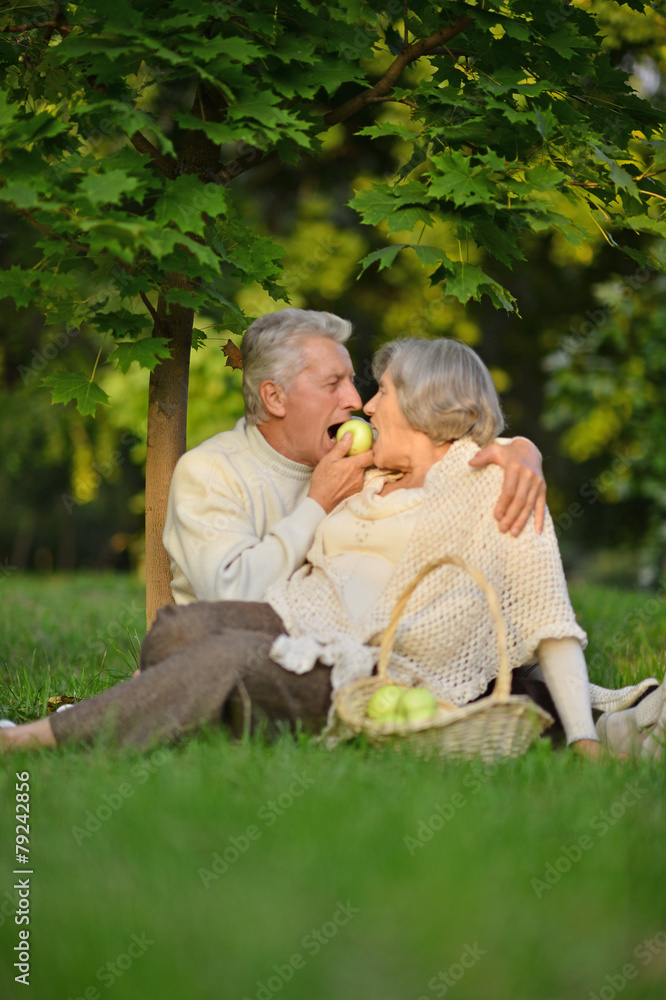 Fototapeta premium Happy elder couple