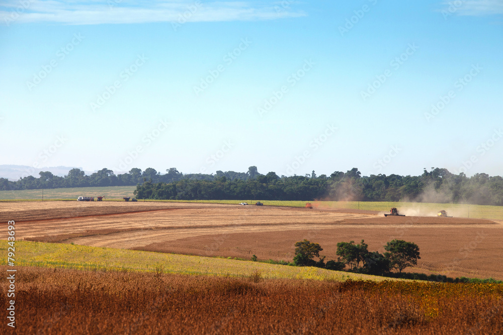 Agricultural machinery harvesting soybeans.