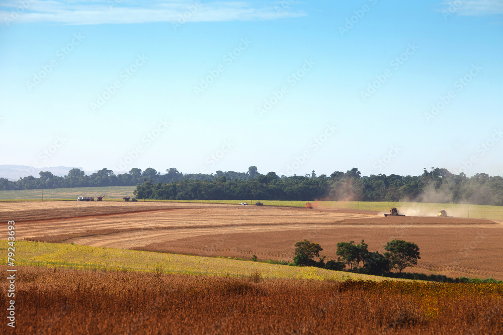 Agricultural machinery harvesting soybeans. Agricultural machinery harvesting soybeans.