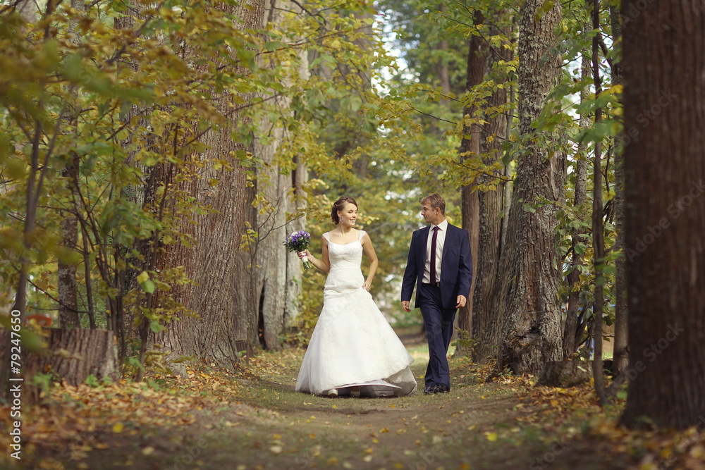 bride and groom in autumn park Love Life bride and groom in autumn park Love Life