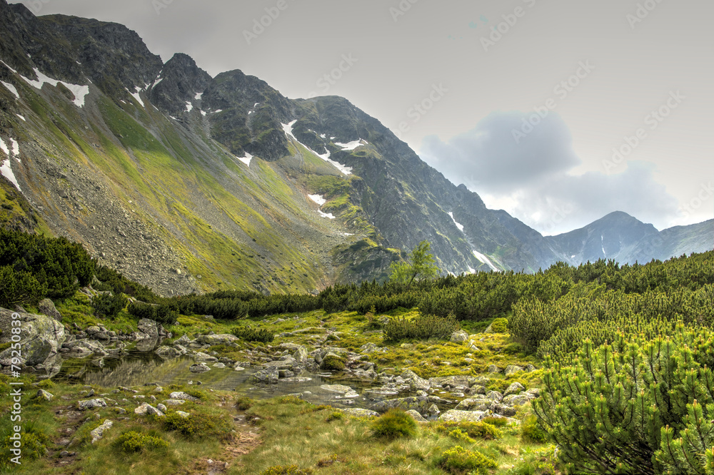 Fototapeta premium Mountain Creek