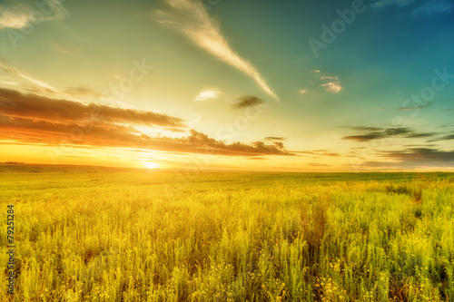 Meadow, evening sky and sunset