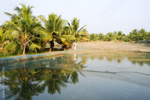 Shrimp farm on the backwaters of Kollam