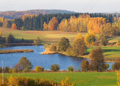 autumn landscape with lake #79252061