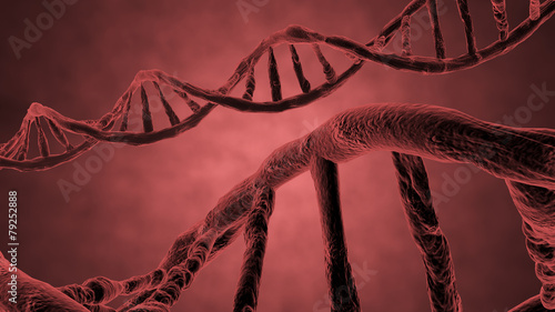 red helix of DNA