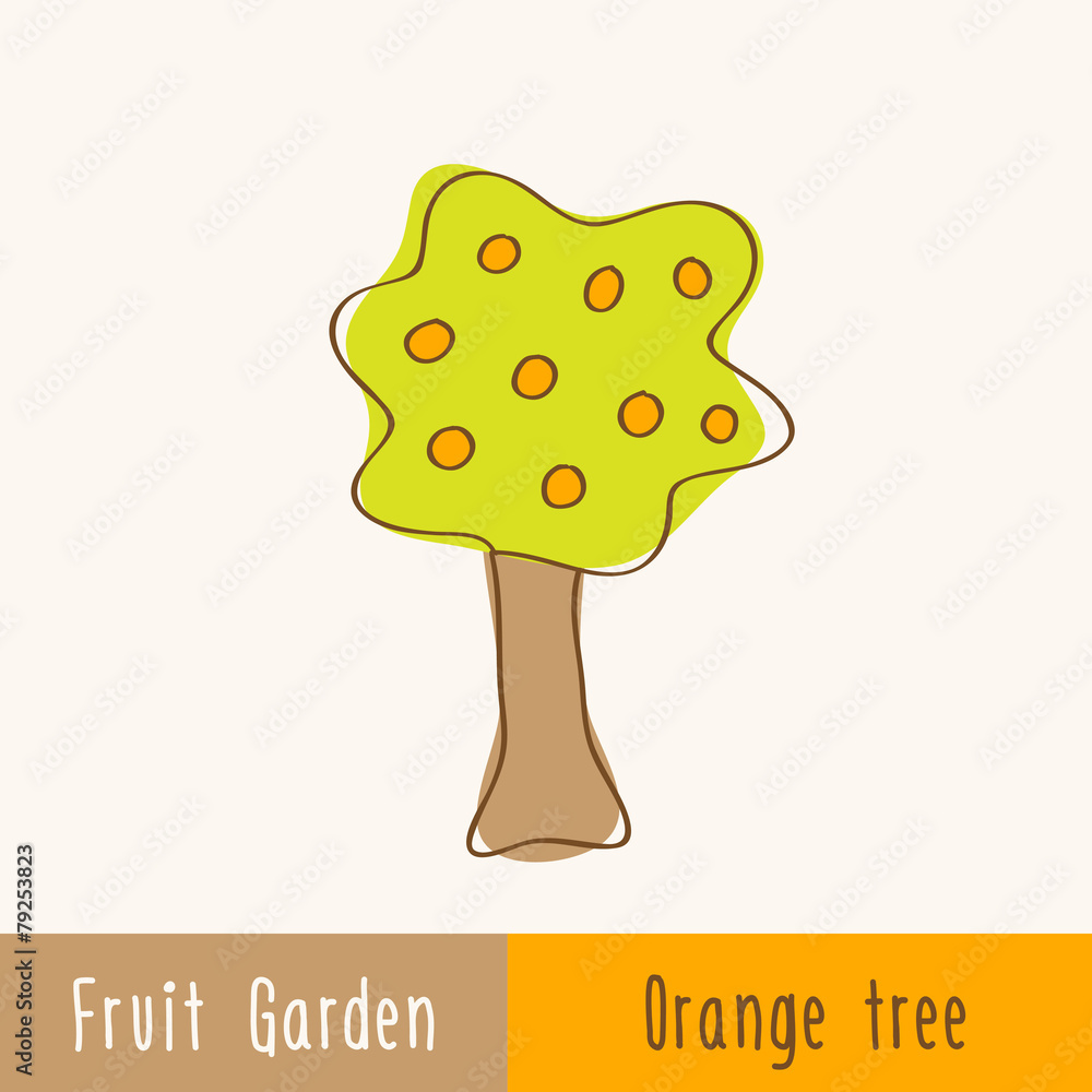 Garden fruit trees - single tree Garden fruit trees - single tree