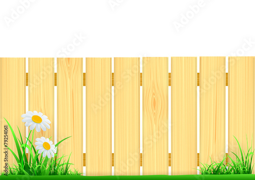 wooden fence and green grass