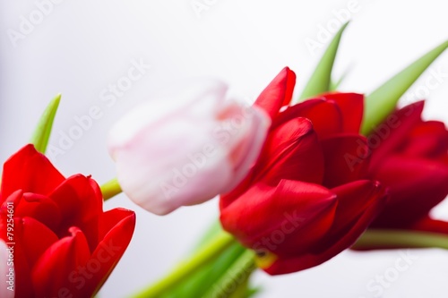 Fototapeta Naklejka Na Ścianę i Meble -  Bunch of tulips