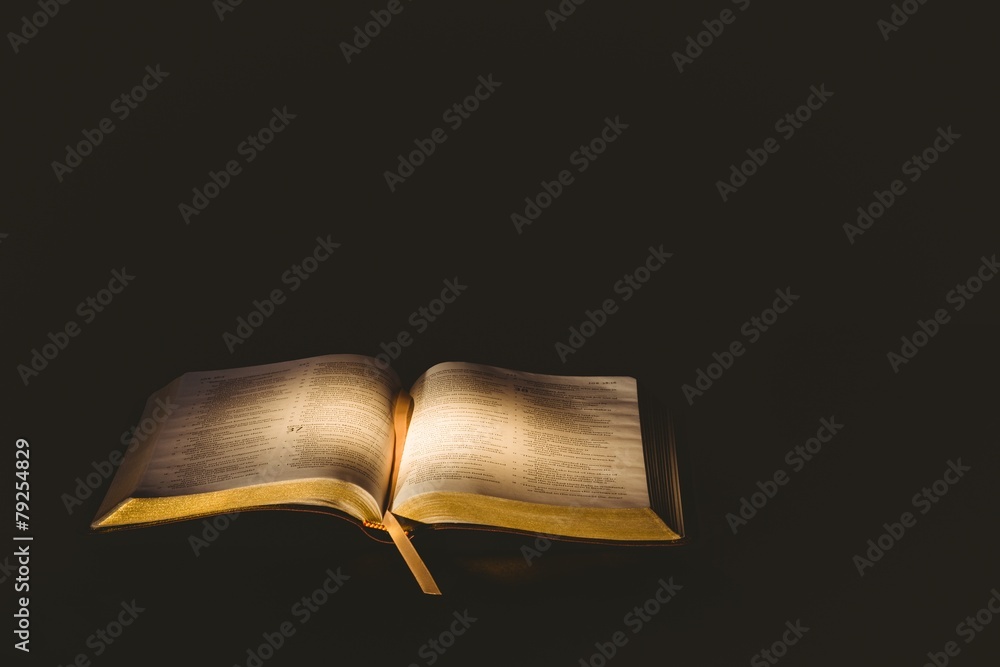 Fototapeta premium Light shining on open bible