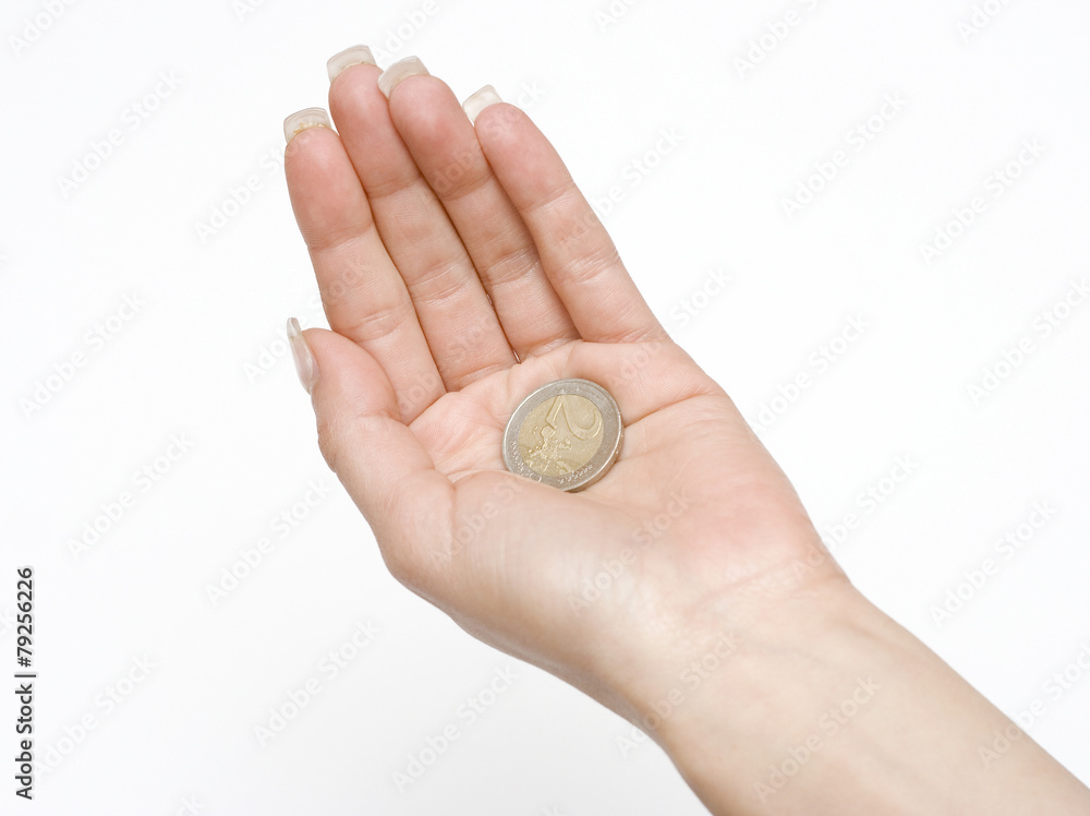 Money in the Palm Money in the Palm
