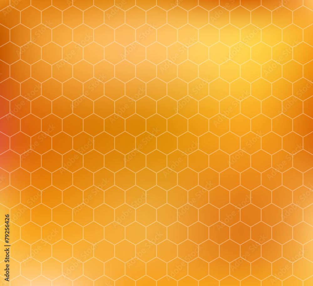vector pattern with honeycombs vector pattern with honeycombs