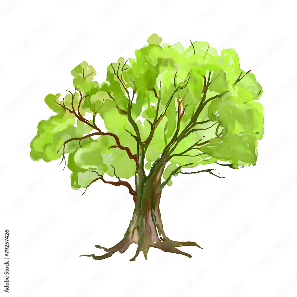 Fototapeta premium Tree vector illustration hand drawn painted watercolor