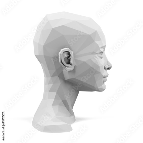 3d head