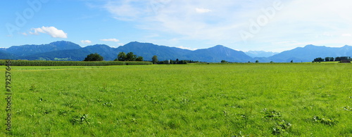 Berge und grüne Wiese Panorama