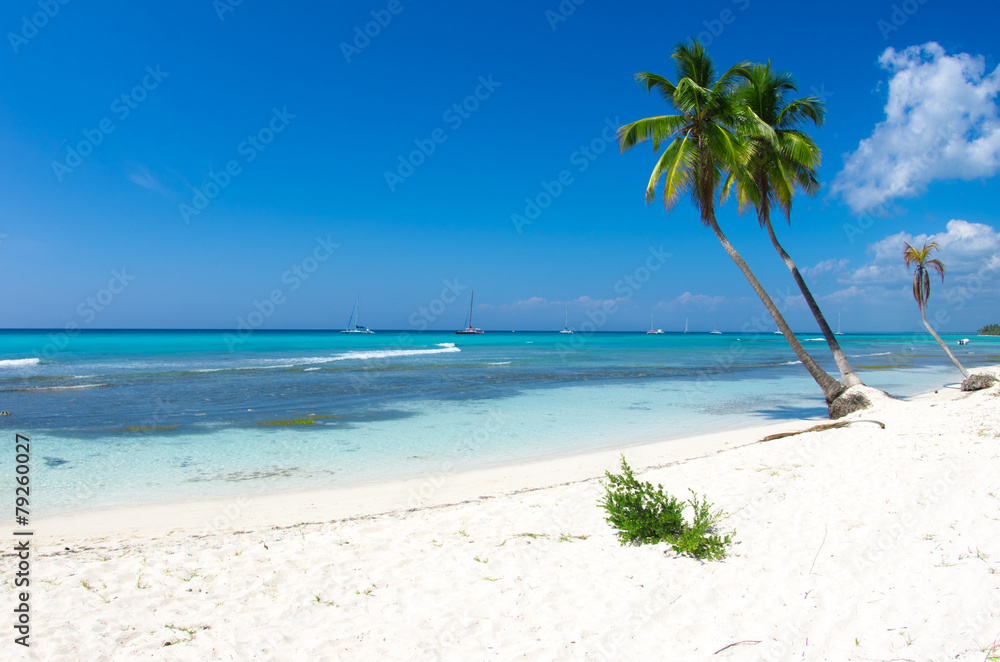 Fototapeta premium tropical sea