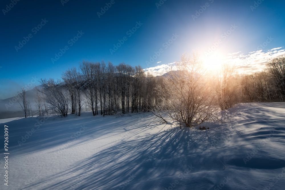 Winter landscape during sunrise