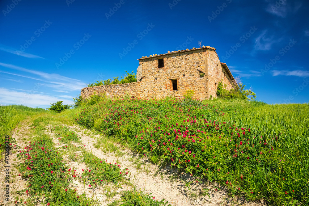 Tuscany at spring