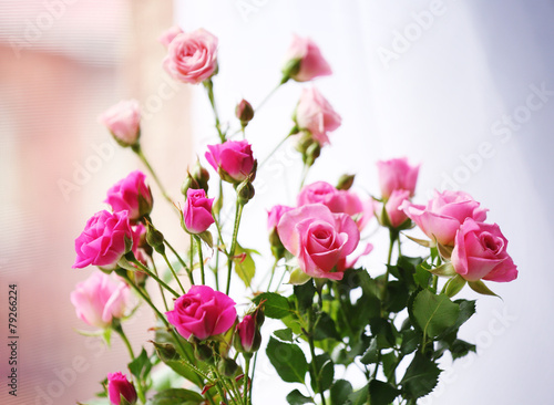 Beautiful pink roses on bright background