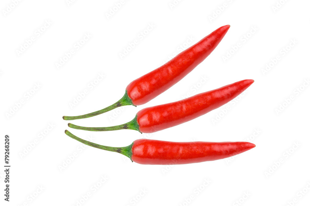 Red chili  isolated on white background