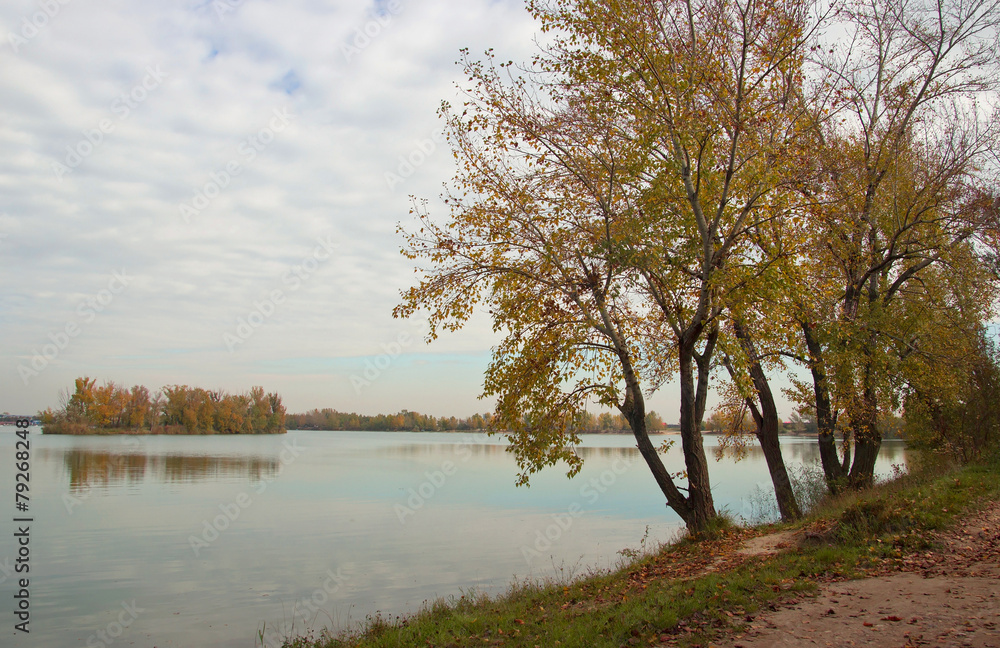Fototapeta premium Autumn Trees on Lake Shore