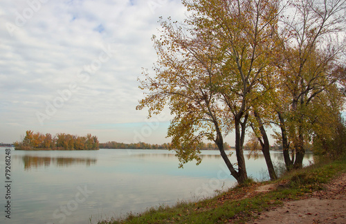 Autumn Trees on Lake Shore