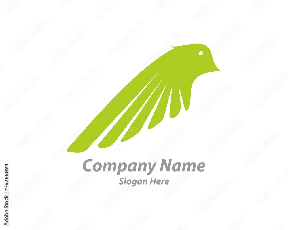 Fototapeta premium bird