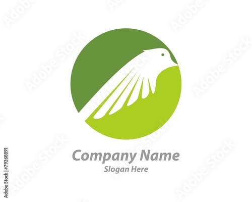 bird wings