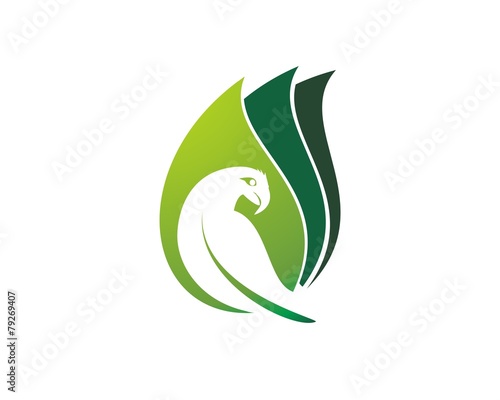 leaf parrot